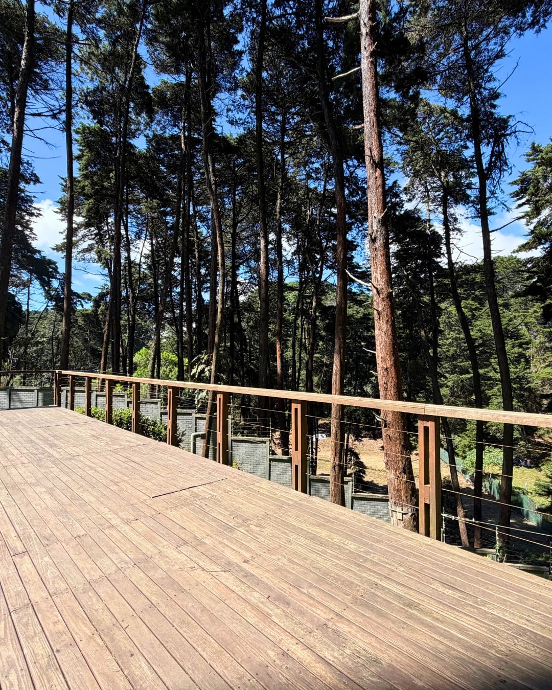 Apartamento En Venta – O2 Carretera A El Salvador — foto 2 de 10