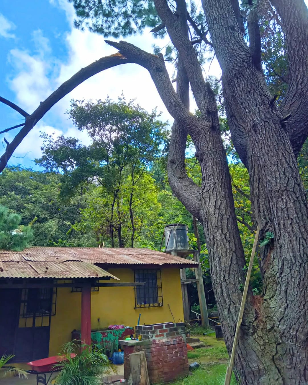 TERRENO EN VENTA KM 34 CAMINO A LA ANTIGUA – Santa Lucia Milpas Altas — foto 3 de 5