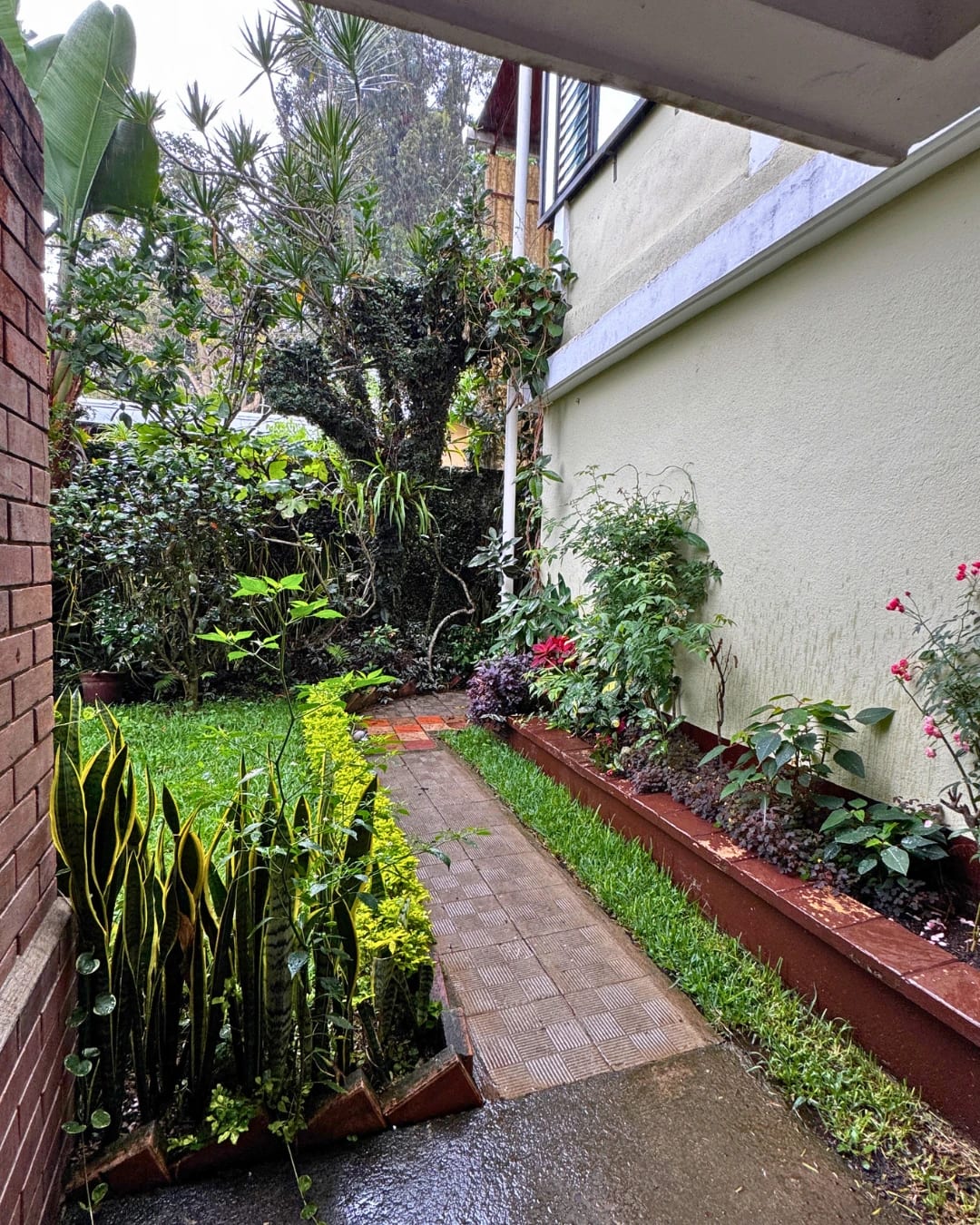 APARTAMENTO EN RENTA ZONA 7 (CIUDAD DE PLATA 1) — foto 8 de 10
