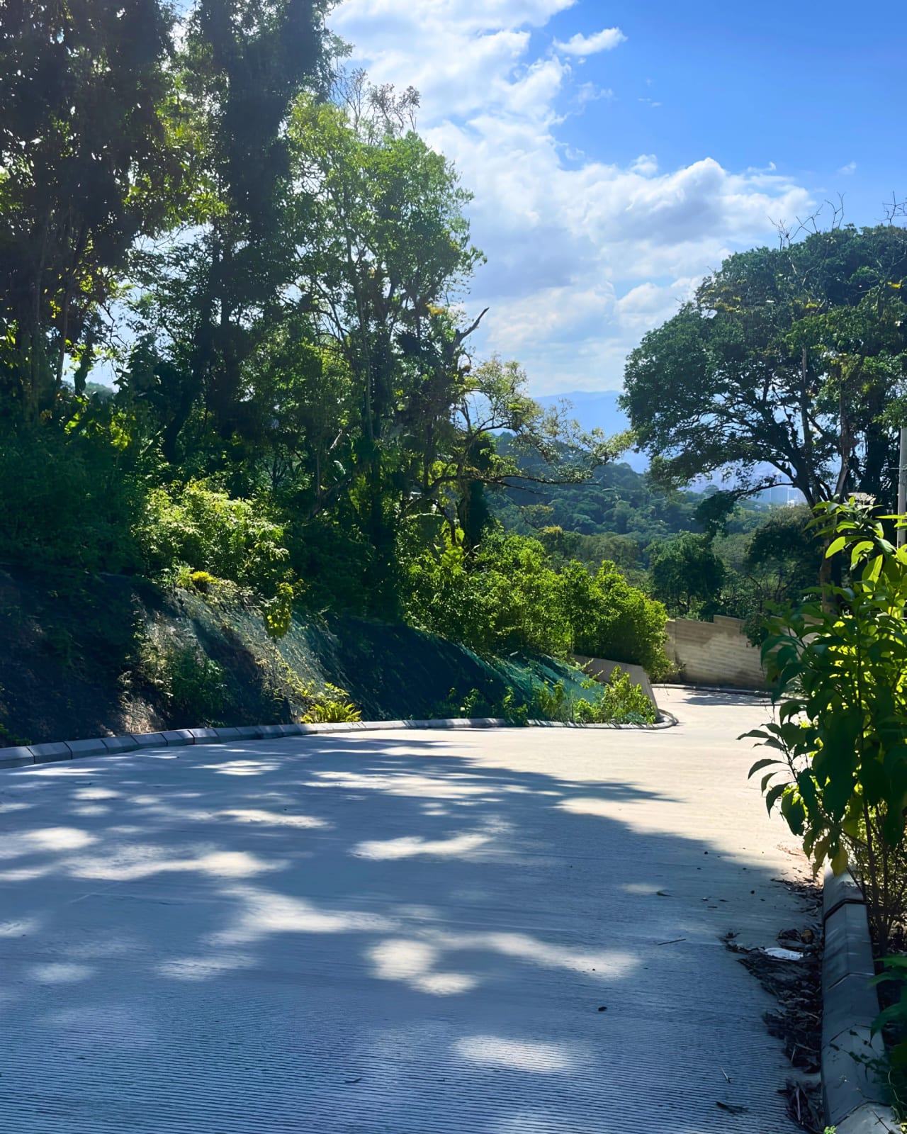 TERRENO EN VENTA EN CARRETERA -DOBLE ACCESO EN SANTA ROSALIA - — foto 3 de 10