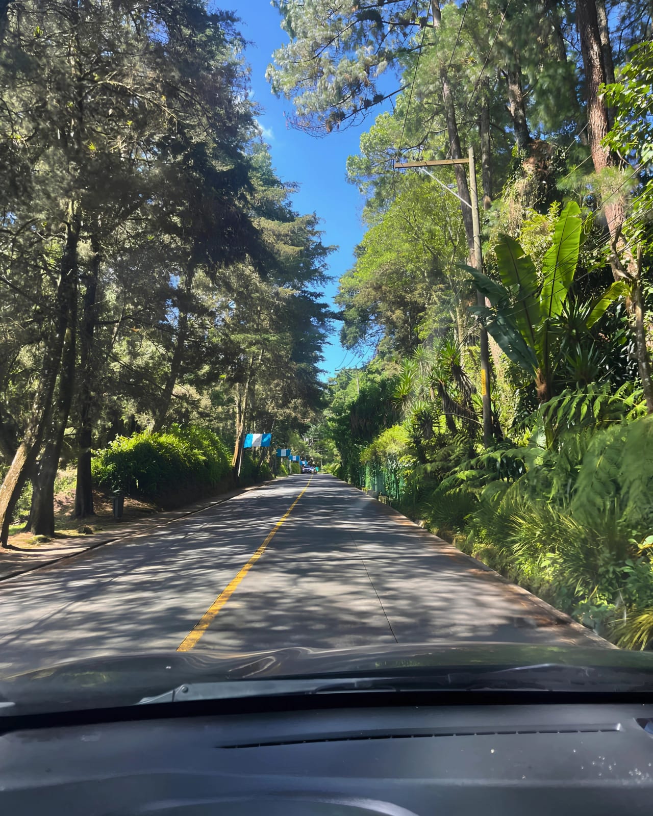 TERRENO EN VENTA EN CARRETERA -DOBLE ACCESO EN SANTA ROSALIA - — foto 5 de 10