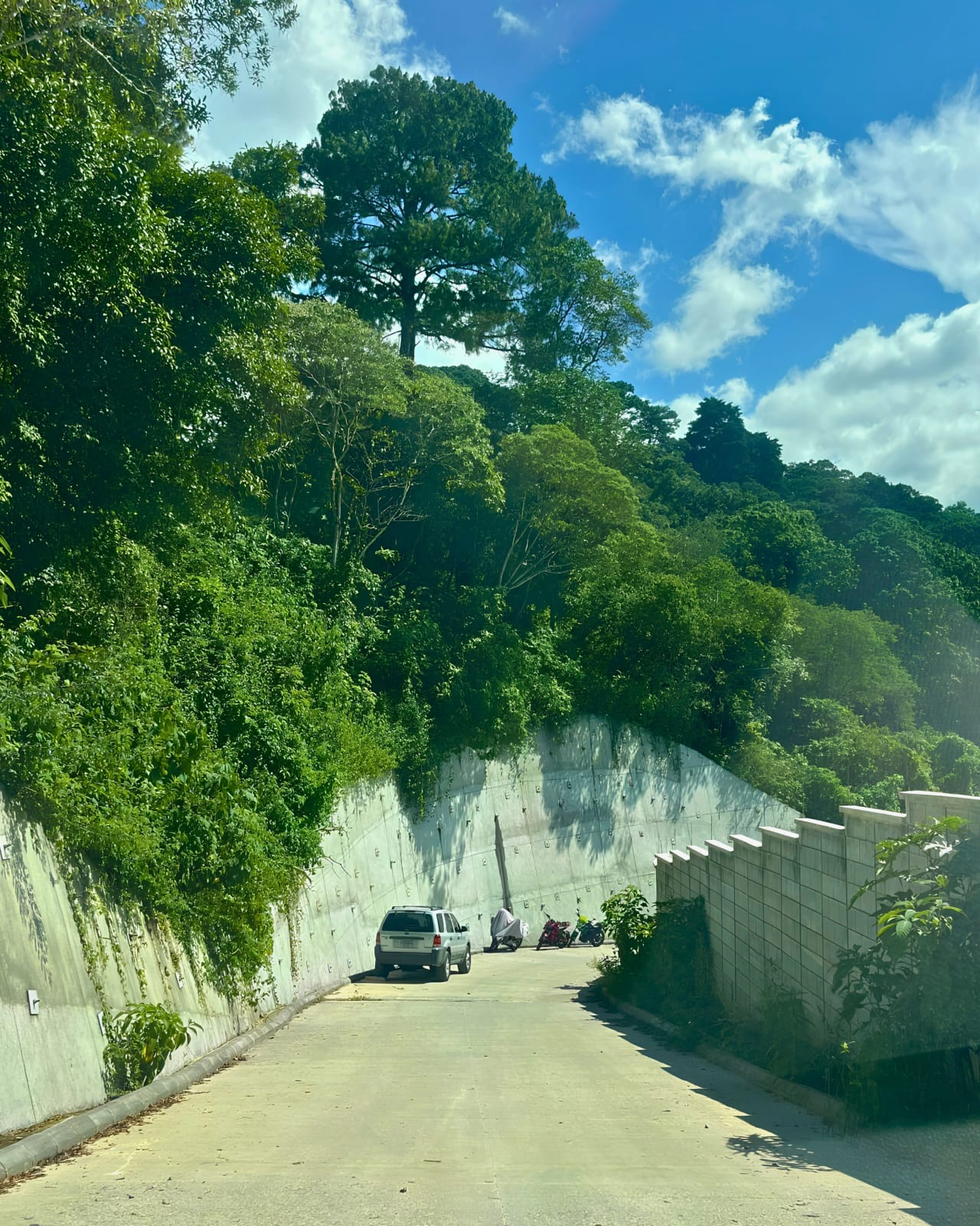 TERRENO EN VENTA EN CARRETERA -DOBLE ACCESO EN SANTA ROSALIA - — foto 8 de 10