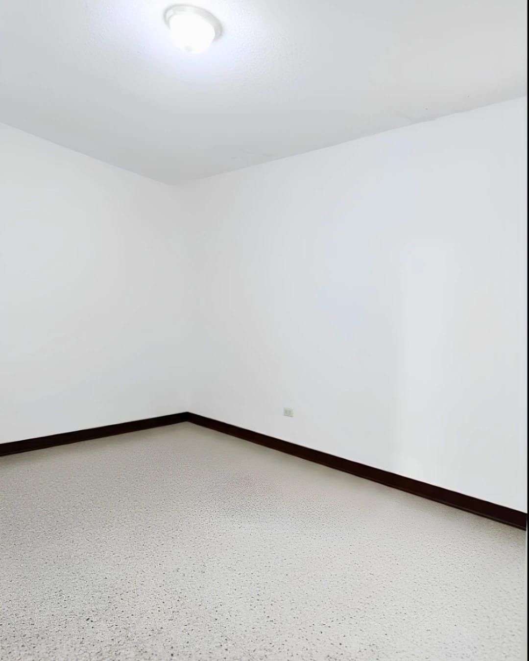 CASA EN RENTA ZONA 14 LA VILLA LOS DELFINES — foto 3 de 9