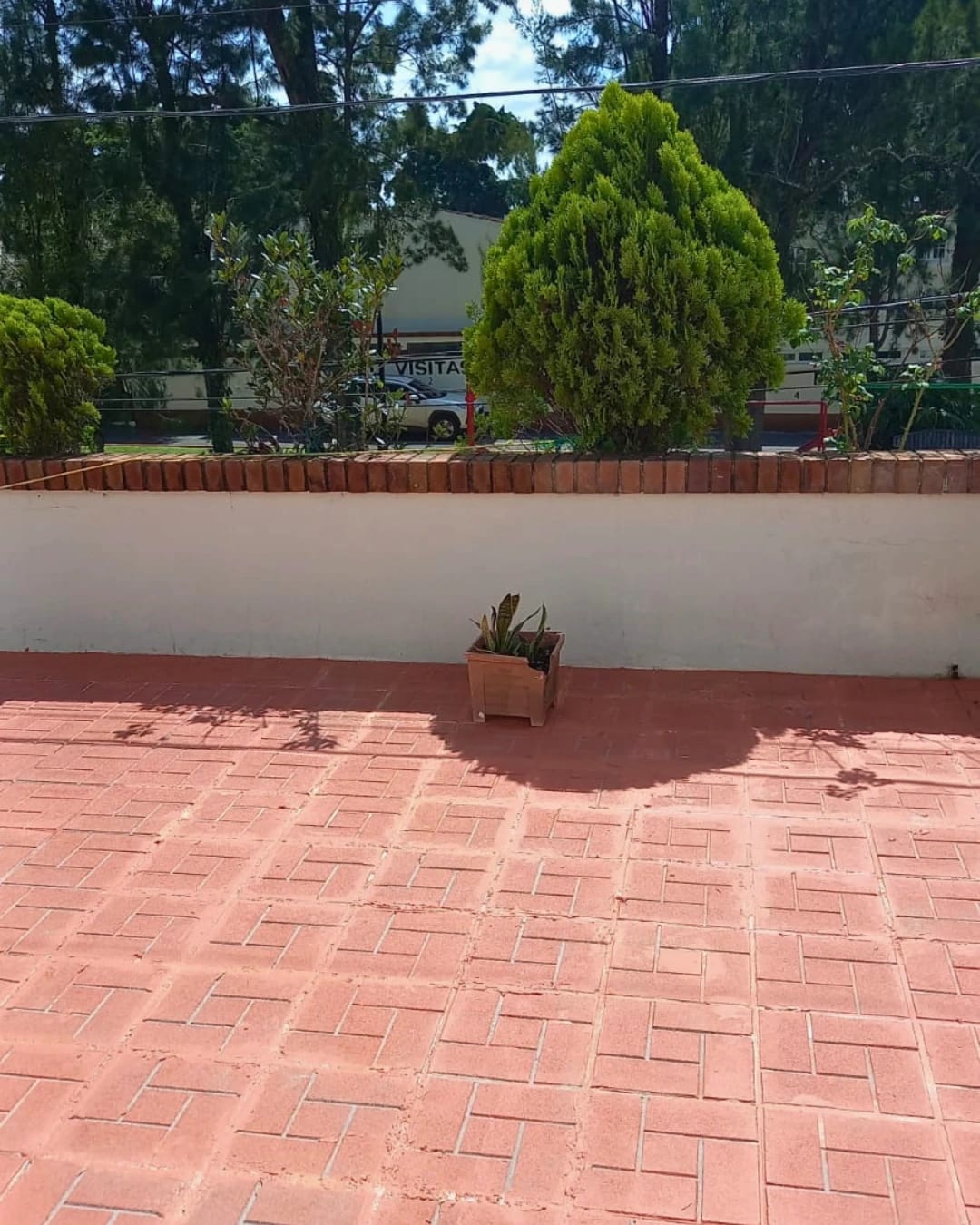 CASA EN RENTA ZONA 14 LA VILLA LOS DELFINES — foto 8 de 9
