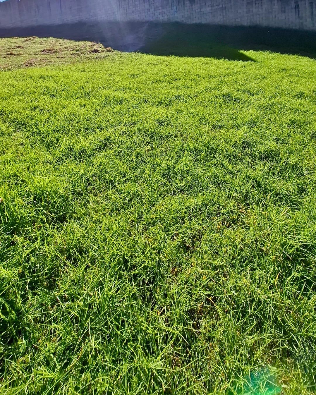 TERRENO DE ESQUINA EN VENTA, CARRETERA A EL SALVADOR, LA FLORESTA — foto 4 de 6