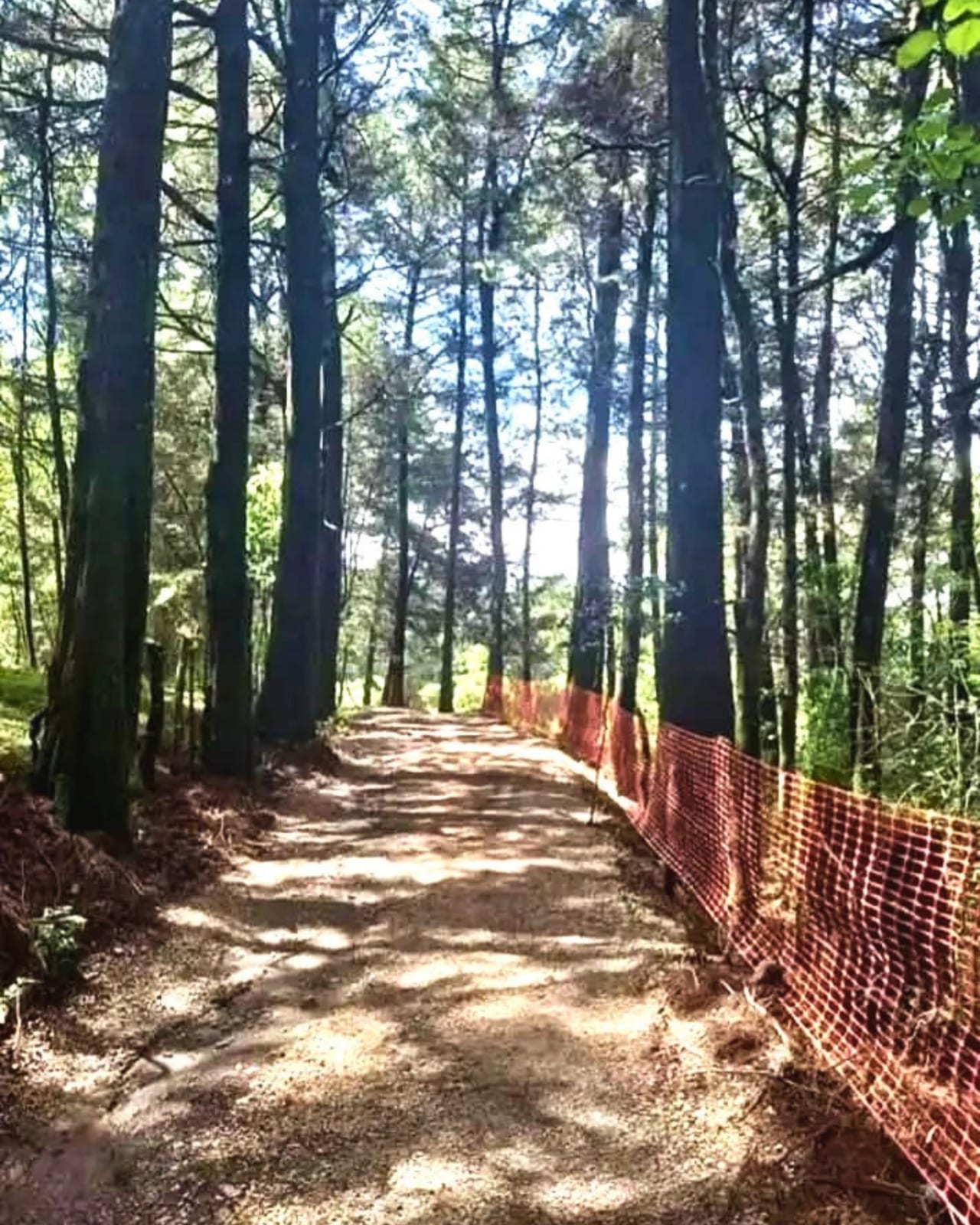TERRENO EN VENTA EN SAN JOSE PINULA — foto 1 de 6