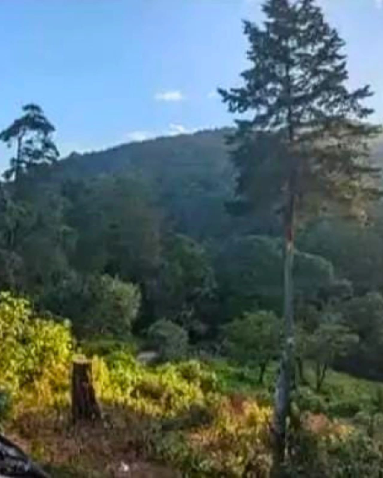 TERRENO EN VENTA EN SAN JOSE PINULA — foto 2 de 6