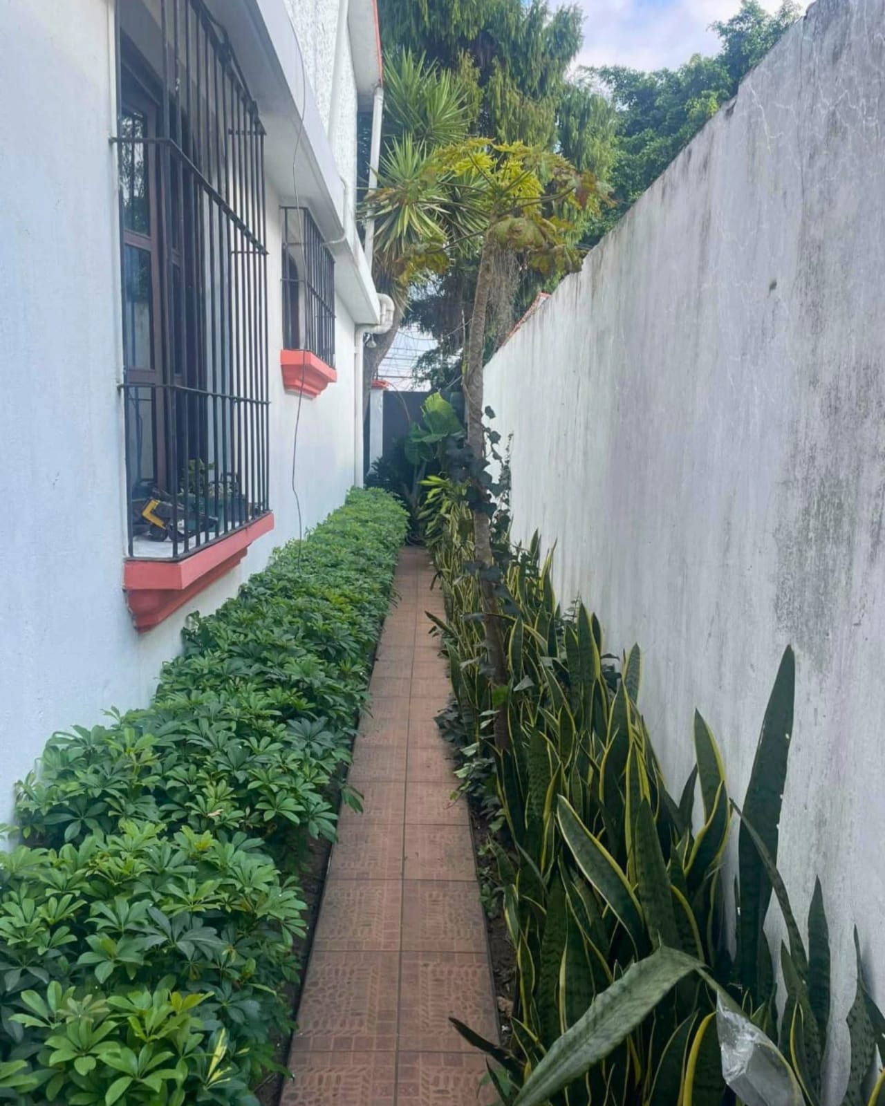 CASA EN VENTA EN SAN CRISTOBAL (A 1 CUADRA DE TORRE DE PINARES) — foto 8 de 10