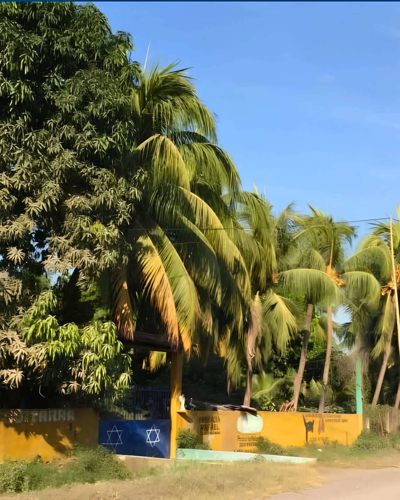 TERRENO EN VENTA ESCUINTLA KM 101 — foto 7 de 10