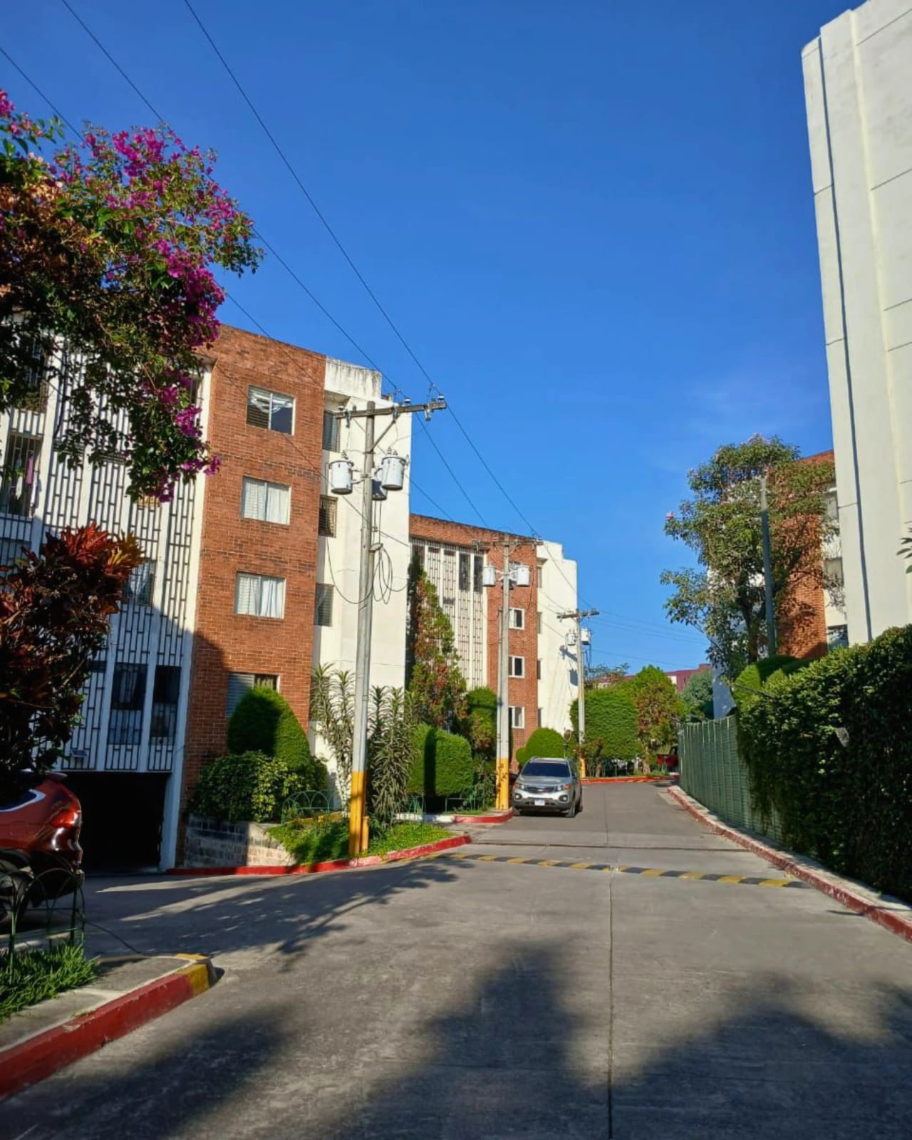 APARTAMENTO EN RENTA ZONA 2 CIUDAD NUEVA EN PRIMER NIVEL — foto 2 de 7