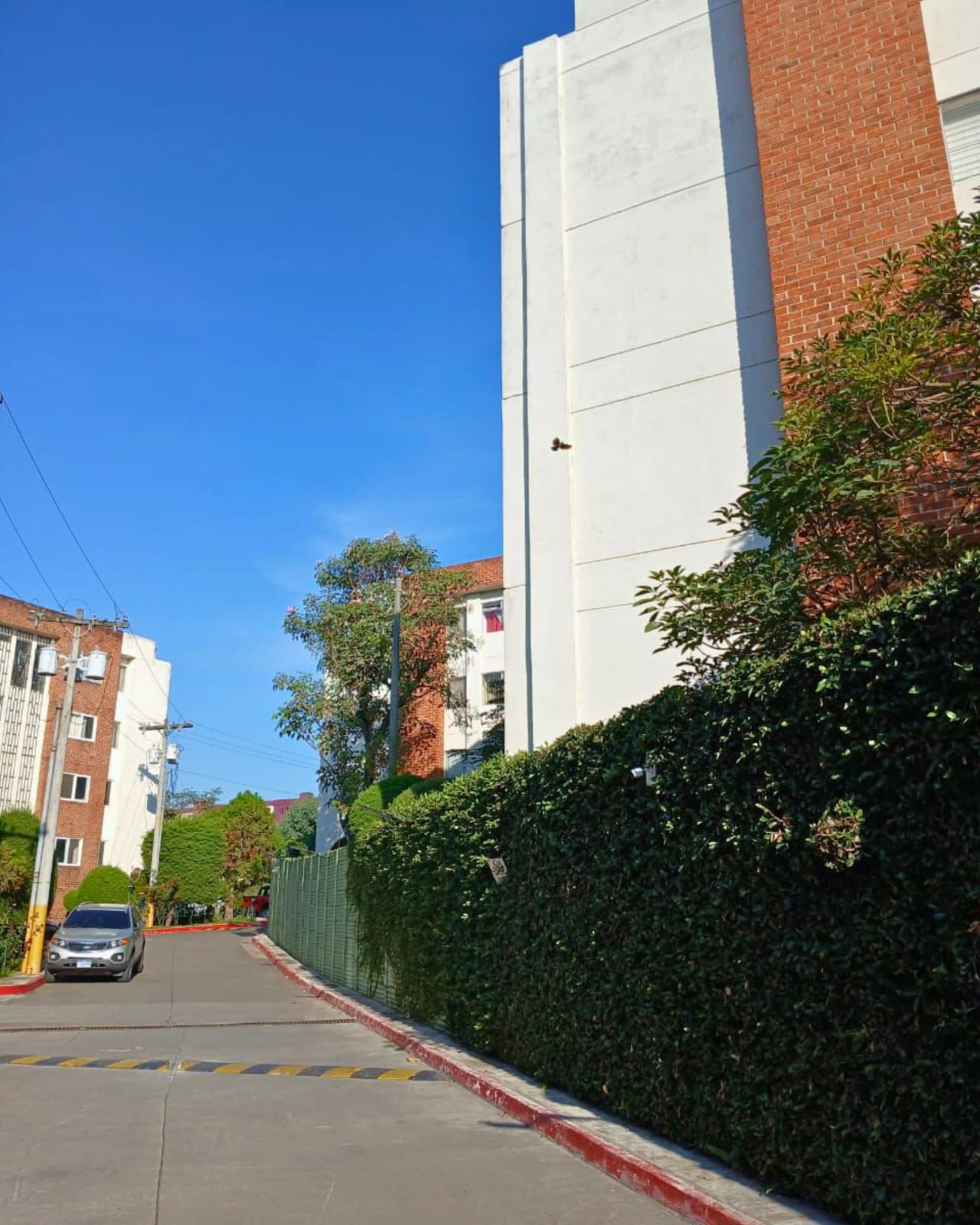 APARTAMENTO EN RENTA ZONA 2 CIUDAD NUEVA EN PRIMER NIVEL — foto 3 de 7