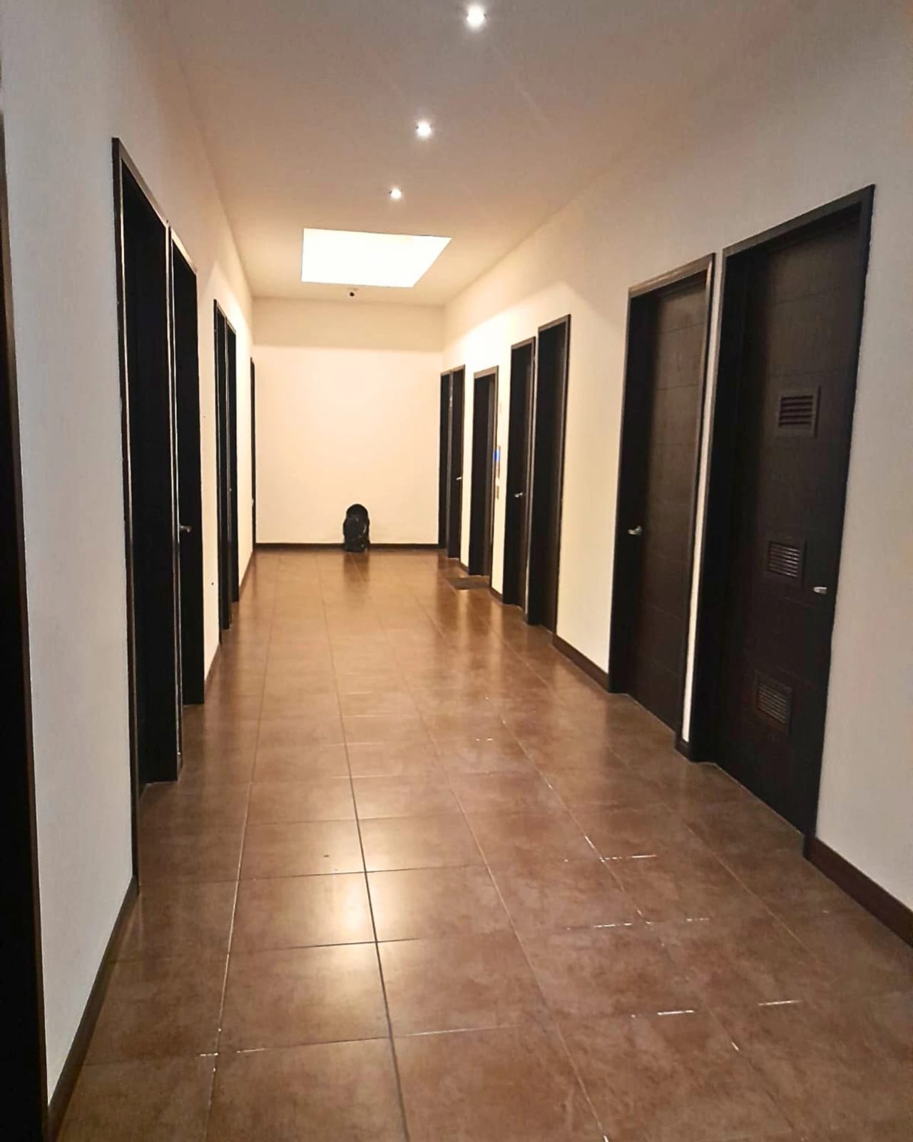 APARTAMENTO EN RENTA ZONA 16 (CALEDONIA) — foto 4 de 8