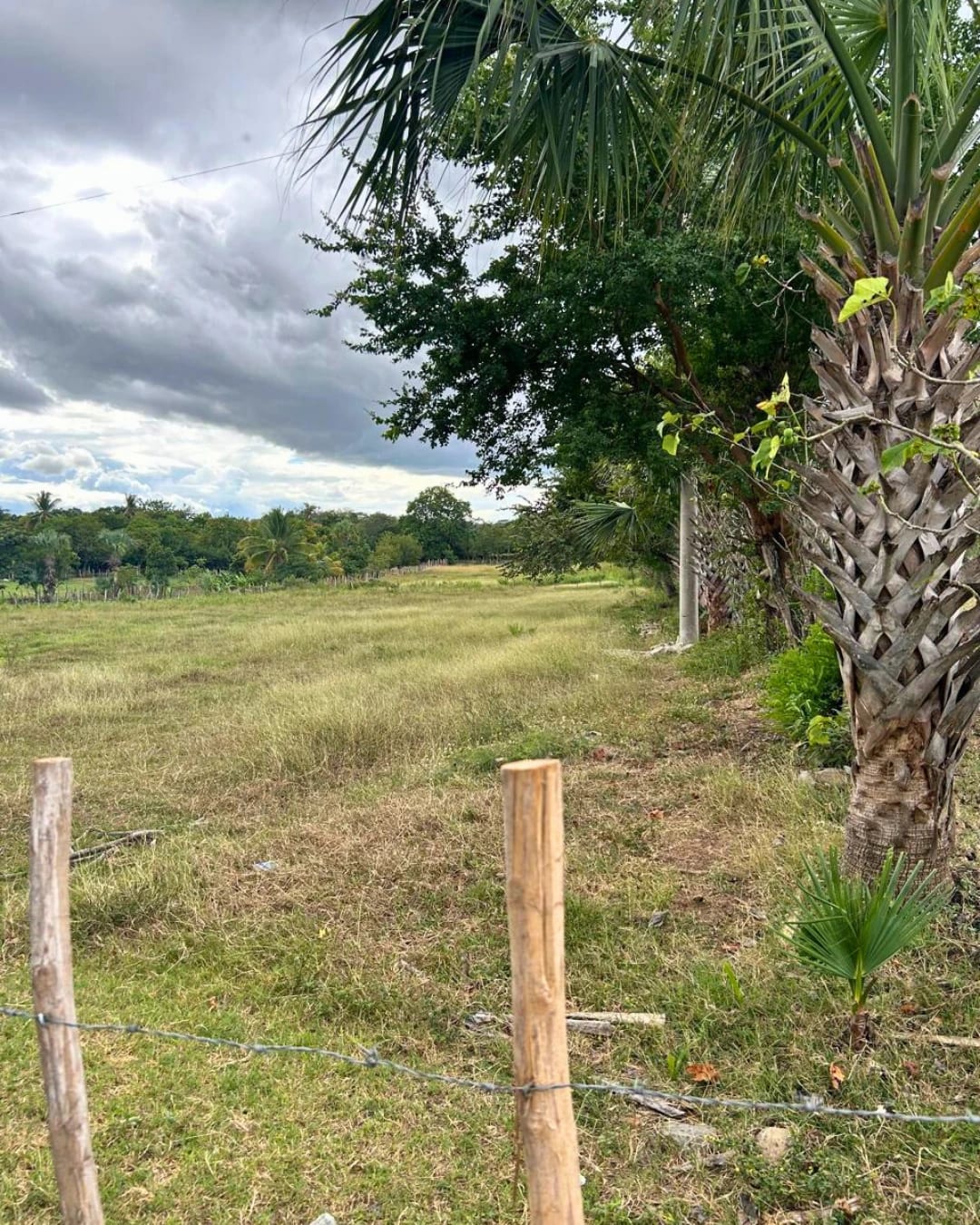 TERRENO EN RENTA TECULUTÁN ZACAPA — foto 7 de 7