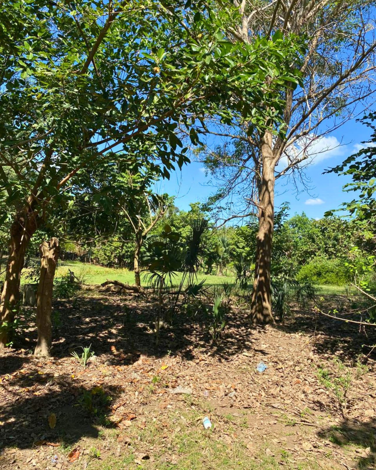 TERRENO EN VENTA PUERTO SAN JOSE A ORILLA DE CALLE PRINCIPAL — foto 6 de 10