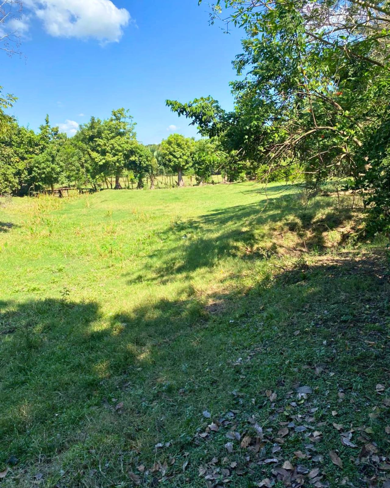 TERRENO EN VENTA PUERTO SAN JOSE A ORILLA DE CALLE PRINCIPAL — foto 10 de 10