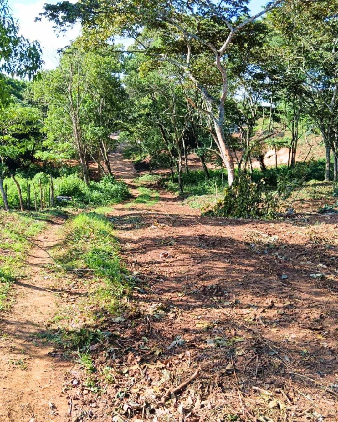 TERRENO EN VENTA ZONA 16 -HACIENDA REAL- VH4 — foto 10 de 10