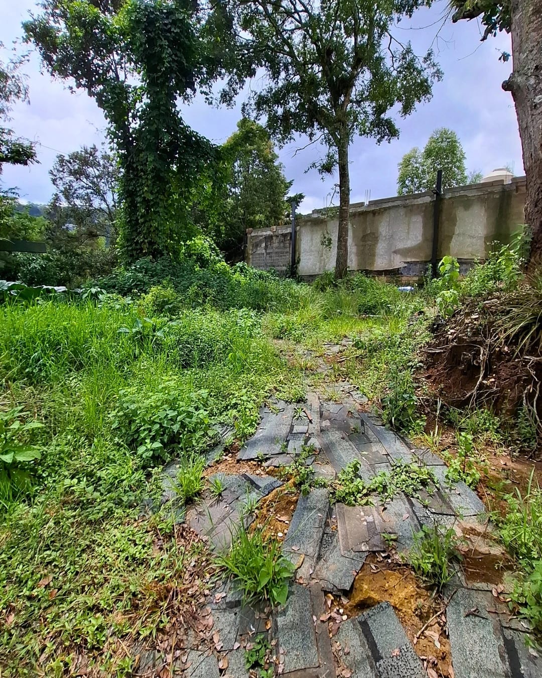 TERRENO EN VENTA EN LA MONTAÑA, ZONA 16 — foto 2 de 11