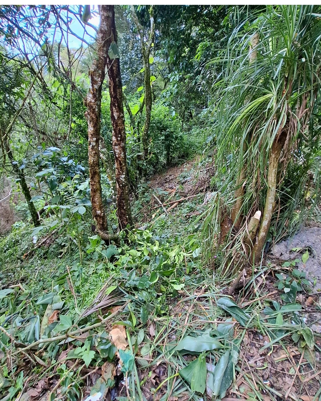 TERRENO EN VENTA EN LA MONTAÑA, ZONA 16 — foto 9 de 11