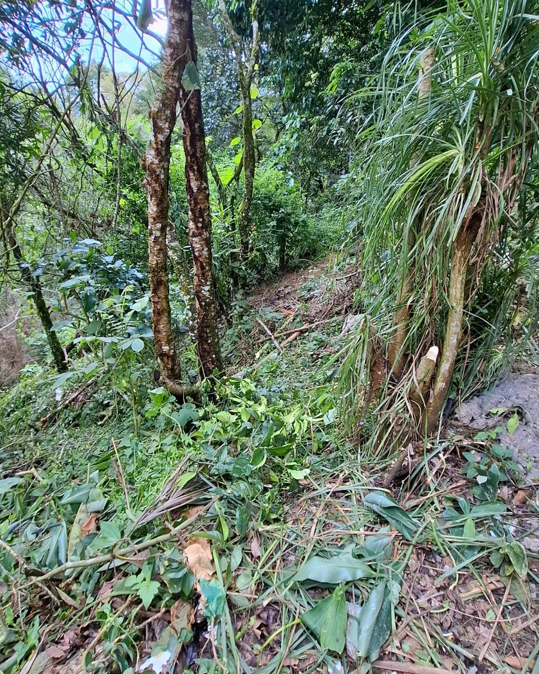 TERRENO EN VENTA EN LA MONTAÑA, ZONA 16 — foto 11 de 11