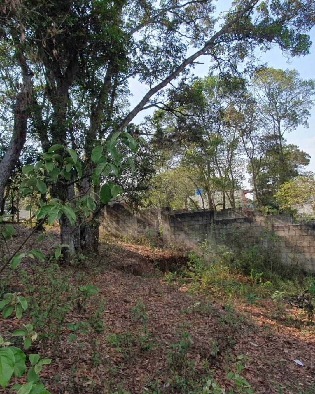 TERRENO EN VENTA ZONA 16, PLANO — foto 1 de 7
