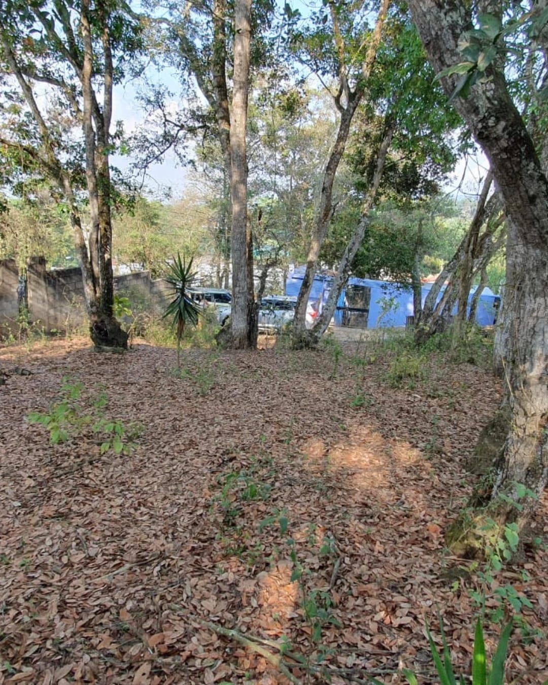 TERRENO EN VENTA ZONA 16, PLANO — foto 4 de 7