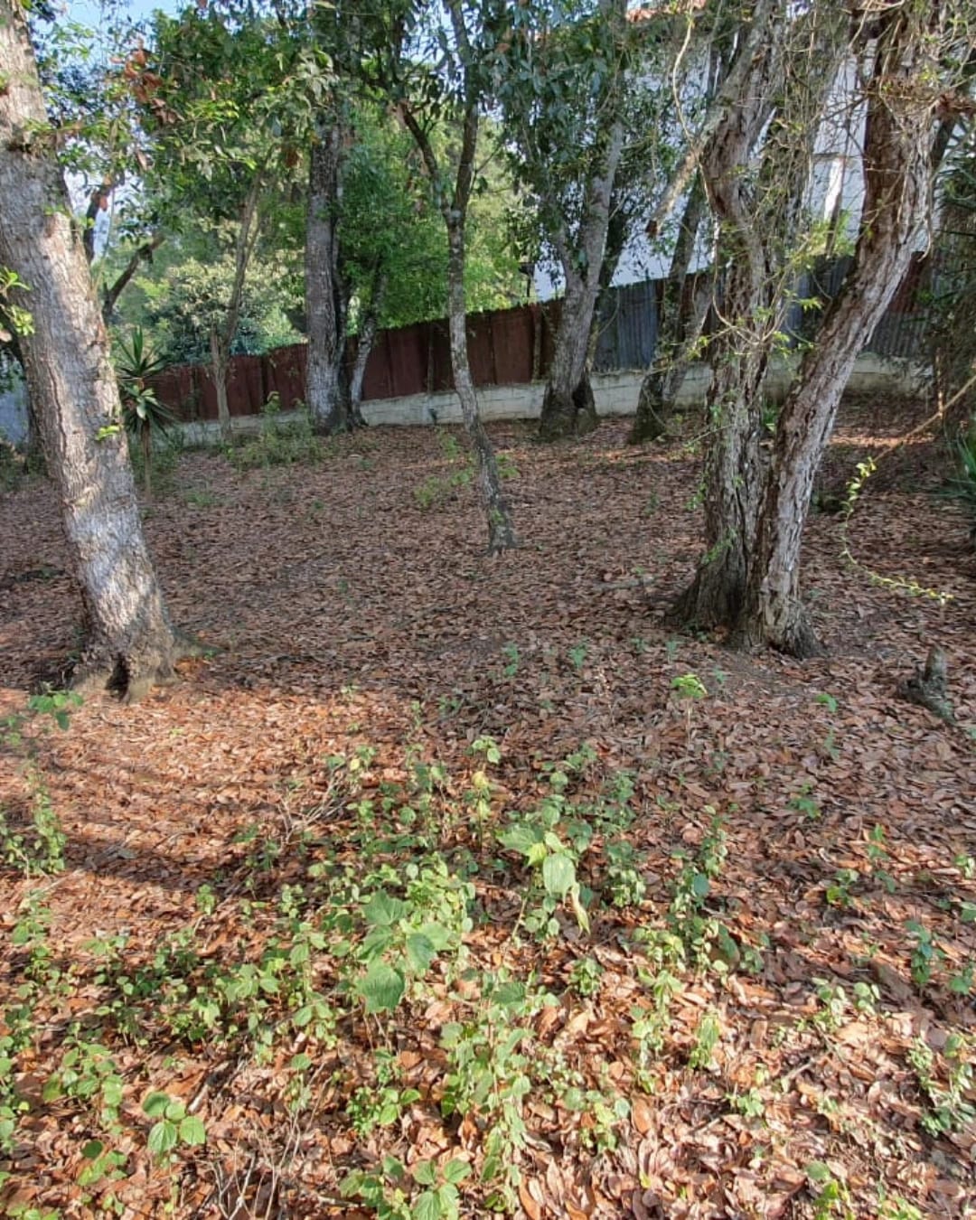 TERRENO EN VENTA ZONA 16, PLANO — foto 3 de 7