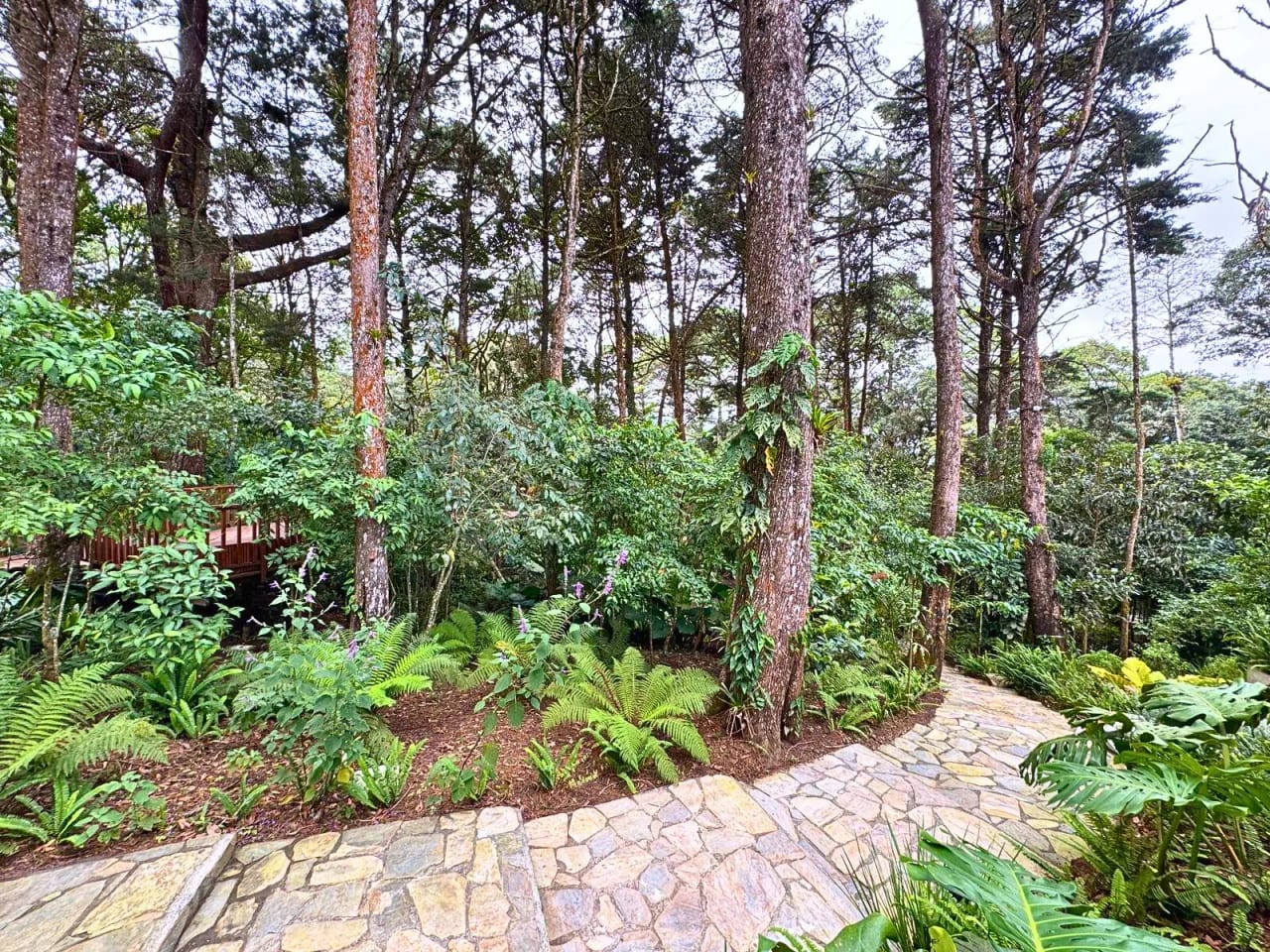 TERRENO EN VENTA SANTA ROSALIA ZONA 16 LEGAD0 DEL BOSQUE — foto 4 de 10