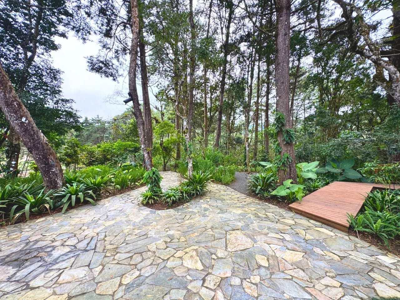 TERRENO EN VENTA SANTA ROSALIA ZONA 16 LEGAD0 DEL BOSQUE — foto 8 de 10