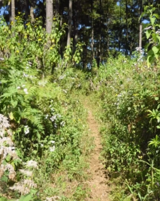 TERRENO DE 7 MANZANAS EN VENTA PIEDRA PARADA, SANTA CATARINA PINULA — foto 5 de 10