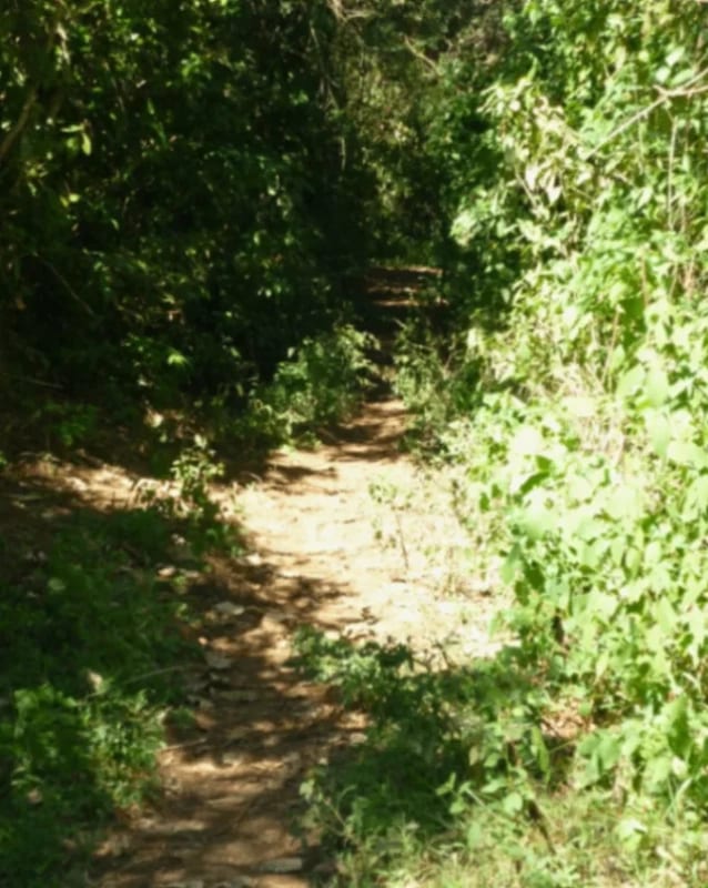 TERRENO DE 7 MANZANAS EN VENTA PIEDRA PARADA, SANTA CATARINA PINULA — foto 4 de 10