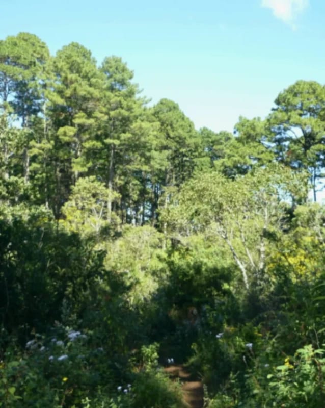 TERRENO DE 7 MANZANAS EN VENTA PIEDRA PARADA, SANTA CATARINA PINULA — foto 1 de 10