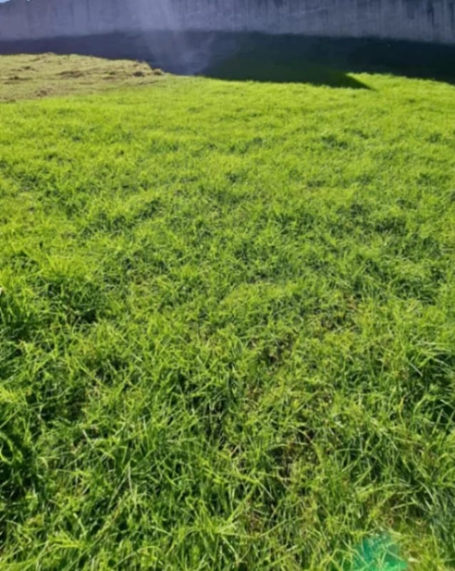 TERRENO DE ESQUINA EN VENTA, CARRETERA A EL SALVADOR, LA FLORESTA — foto 4 de 6