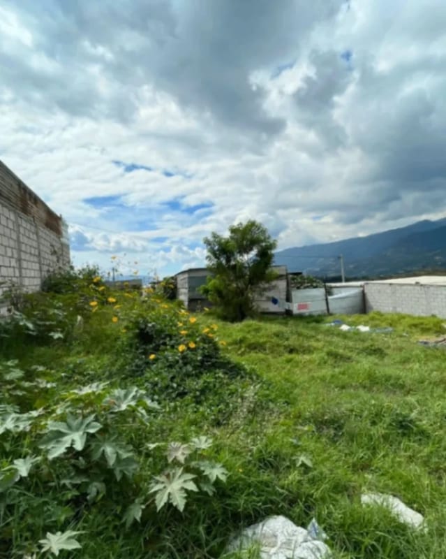 TERRENO EN VENTA VILLA NUEVA KM 22 — foto 5 de 6