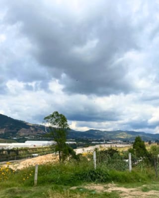 TERRENO EN VENTA VILLA NUEVA KM 22 — miniatura 6 de 6