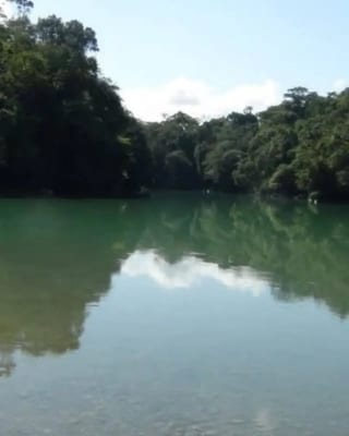 TERRENO EN VENTA EN COBAN ALTA VERAPAZ, ISLA PRIVADA — miniatura 7 de 10