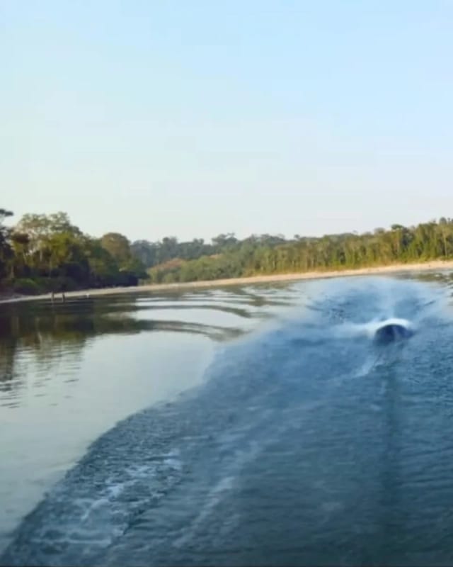 TERRENO EN VENTA EN COBAN ALTA VERAPAZ, ISLA PRIVADA — foto 5 de 10